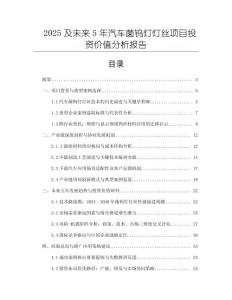 2025及未來(lái)5年汽車菌鎢燈燈絲項(xiàng)目投資價(jià)值分析報(bào)告