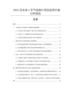 2025及未來5年氣泡袋片項目投資價值分析報告