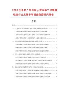 2025及未來5年中國γ-巰丙基三甲氧基硅烷行業發展市場調查數據研究報告