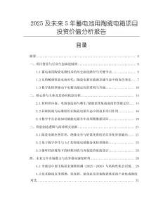 2025及未来5年蓄电池用陶瓷电箱项目投资价值分析报告