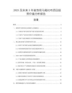 2025及未來5年裝飾用馬尾襯布項(xiàng)目投資價值分析報(bào)告