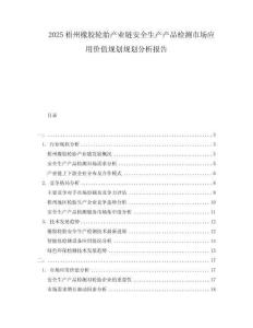 2025梧州橡膠輪胎產業鏈安全生產產品檢測市場應用價值規劃規劃分析報告