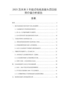 2025及未來(lái)5年插式電線連接頭項(xiàng)目投資價(jià)值分析報(bào)告