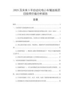 2025及未來5年自動(dòng)化電小車輸送線項(xiàng)目投資價(jià)值分析報(bào)告