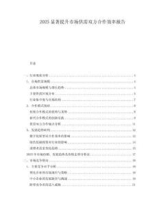 2025顯著提升市場供需雙方合作效率報告