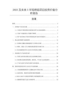 2025及未來5年短噴咀項目投資價值分析報告