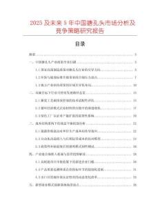 2025及未來5年中國搪孔頭市場分析及競爭策略研究報告