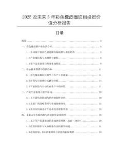2025及未來5年彩色橡皮圈項目投資價值分析報告