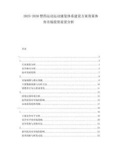 2025-2030禁藥運(yùn)動(dòng)運(yùn)動(dòng)康復(fù)體系建設(shè)方案效果體育市場(chǎng)投資前景分析