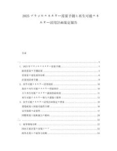 2025ブラジルエネルギー需要予測と再生可能エネルギー活用計(jì)畫策定報(bào)告