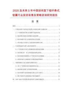 2025及未來5年中國封閉型下錠桿懸式錠翼行業(yè)投資前景及策略咨詢研究報告