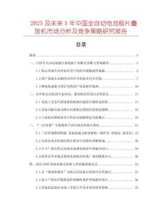 2025及未來5年中國全自動電池極片疊放機市場分析及競爭策略研究報告