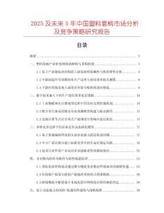 2025及未來5年中國塑料套柄市場分析及競爭策略研究報(bào)告