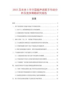2025及未來5年中國超聲波振子市場分析及競爭策略研究報告