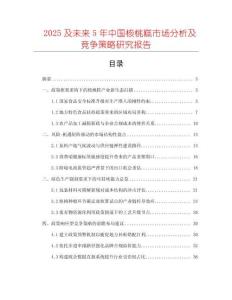 2025及未來5年中國核桃糕市場分析及競爭策略研究報告