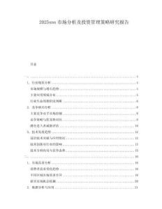 2025xnn市場分析及投資管理策略研究報(bào)告