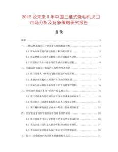 2025及未來5年中國三維式燒毛機火口市場分析及競爭策略研究報告