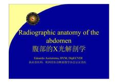 腹部X光解剖學(xué)Radiographic anatomy of the abdomen