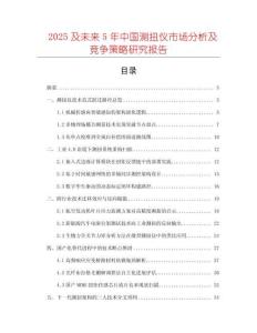 2025及未來5年中國測扭儀市場分析及競爭策略研究報告