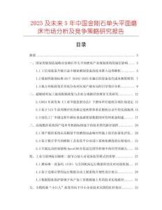 2025及未來5年中國金剛石單頭平面磨床市場分析及競爭策略研究報告