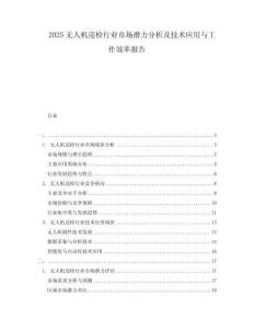 2025无人机巡检行业市场潜力分析及技术应用与工作效率报告
