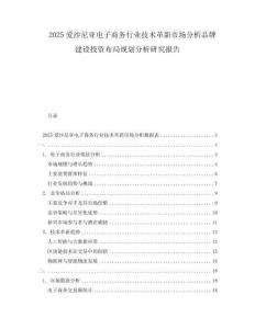 2025愛沙尼亞電子商務行業技術革新市場分析品牌建設投資布局規劃分析研究報告