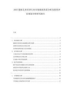 2025攝影藝術(shù)培訓(xùn)行業(yè)市場(chǎng)現(xiàn)狀供需分析及投資評(píng)估規(guī)劃分析研究報(bào)告
