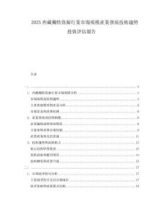 2025西藏獨特資源行業(yè)市場規(guī)模產(chǎn)業(yè)發(fā)展技術(shù)趨勢投資評估報告
