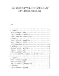2025-2030巨艦森羅萬象木工活技法傳承匠人精神保護行業現狀及未來規劃研究