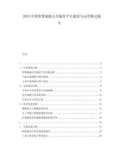 2025中國智慧能源公共服務平臺建設與運營模式報告