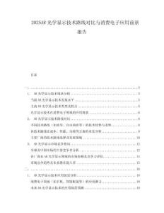2025AR光学显示技术路线对比与消费电子应用前景报告