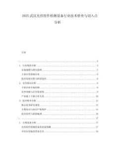 2025武漢光伏組件檢測(cè)設(shè)備行業(yè)技術(shù)壁壘與切入點(diǎn)分析
