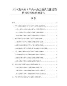 2025及未來5年內(nèi)六角尖端緊定螺釘項(xiàng)目投資價值分析報告