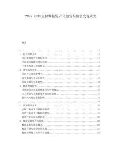 2025-2030支付數(shù)據(jù)資產(chǎn)化運(yùn)營(yíng)與價(jià)值變現(xiàn)研究