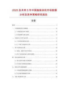 2025及未來5年中國拋墊塊機市場數據分析及競爭策略研究報告