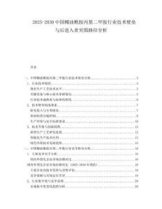 2025-2030中國椰油酰胺丙基二甲胺行業(yè)技術(shù)壁壘與后進(jìn)入者突圍路徑分析