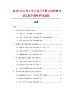 2025至未來5年中國壓導板市場數據分析及競爭策略研究報告