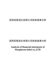 國藥控股湖北有限公司財務報表分析 (2)