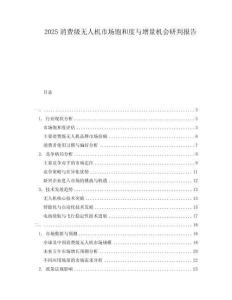 2025消費(fèi)級(jí)無(wú)人機(jī)市場(chǎng)飽和度與增量機(jī)會(huì)研判報(bào)告