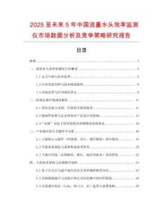 2025至未來(lái)5年中國(guó)流量水頭效率監(jiān)測(cè)儀市場(chǎng)數(shù)據(jù)分析及競(jìng)爭(zhēng)策略研究報(bào)告