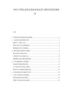 2025中國電競俱樂部商業化運營與粉絲經濟變現研究