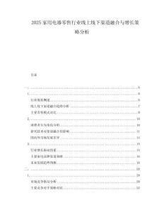 2025家用電器零售行業線上線下渠道融合與增長策略分析