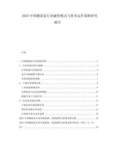 2025中国测量泵行业融资模式与资本运作策略研究报告