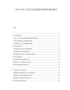 2025中國(guó)工業(yè)無(wú)人機(jī)巡檢算法準(zhǔn)確率測(cè)試報(bào)告