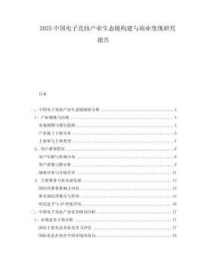 2025中國電子競技產(chǎn)業(yè)生態(tài)鏈構(gòu)建與商業(yè)變現(xiàn)研究報(bào)告