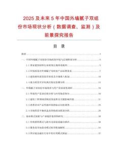 2025及未來5年中國外墻膩子雙組份市場現狀分析（數據調查、監測）及前景探究報告