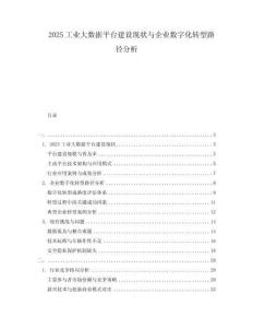 2025工業(yè)大數(shù)據(jù)平臺(tái)建設(shè)現(xiàn)狀與企業(yè)數(shù)字化轉(zhuǎn)型路徑分析