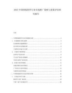2025中國排版軟件行業市場推廣策略與效果評估研究報告