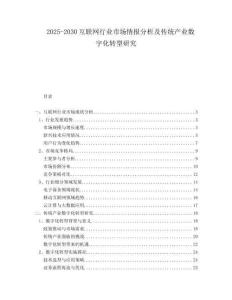 2025-2030互聯(lián)網(wǎng)行業(yè)市場(chǎng)情報(bào)分析及傳統(tǒng)產(chǎn)業(yè)數(shù)字化轉(zhuǎn)型研究