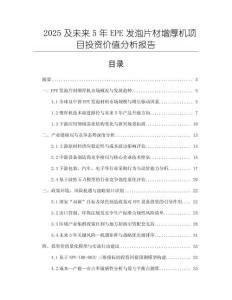 2025及未來5年EPE發泡片材增厚機項目投資價值分析報告